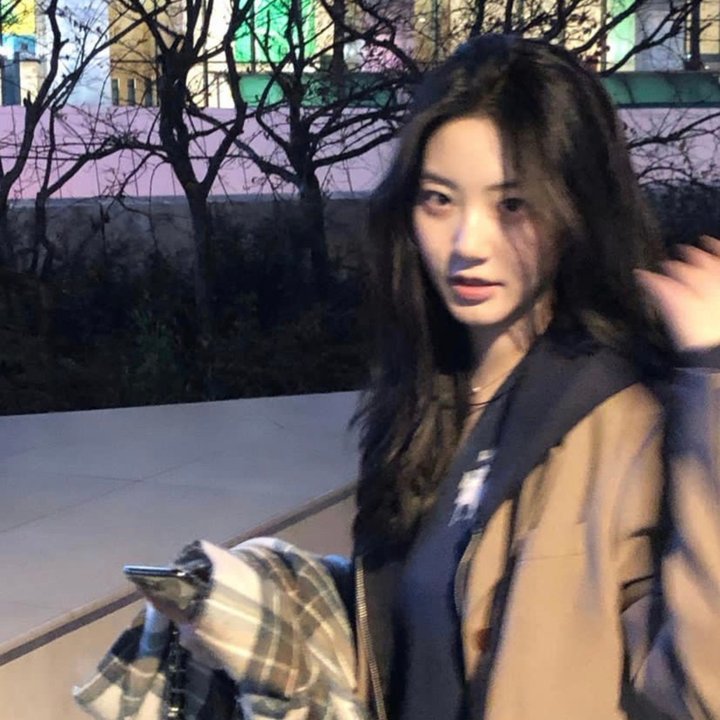 美国革命家：陈玉平的演进