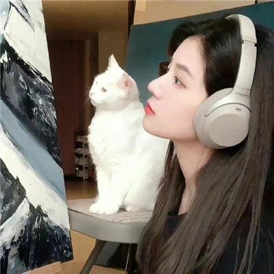 疯狂的麦咭第一季